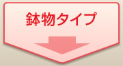 鉢物タイプ