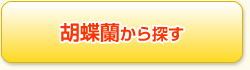 胡蝶蘭から探す